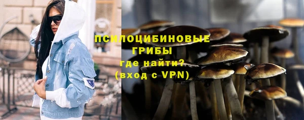 дживик Абинск